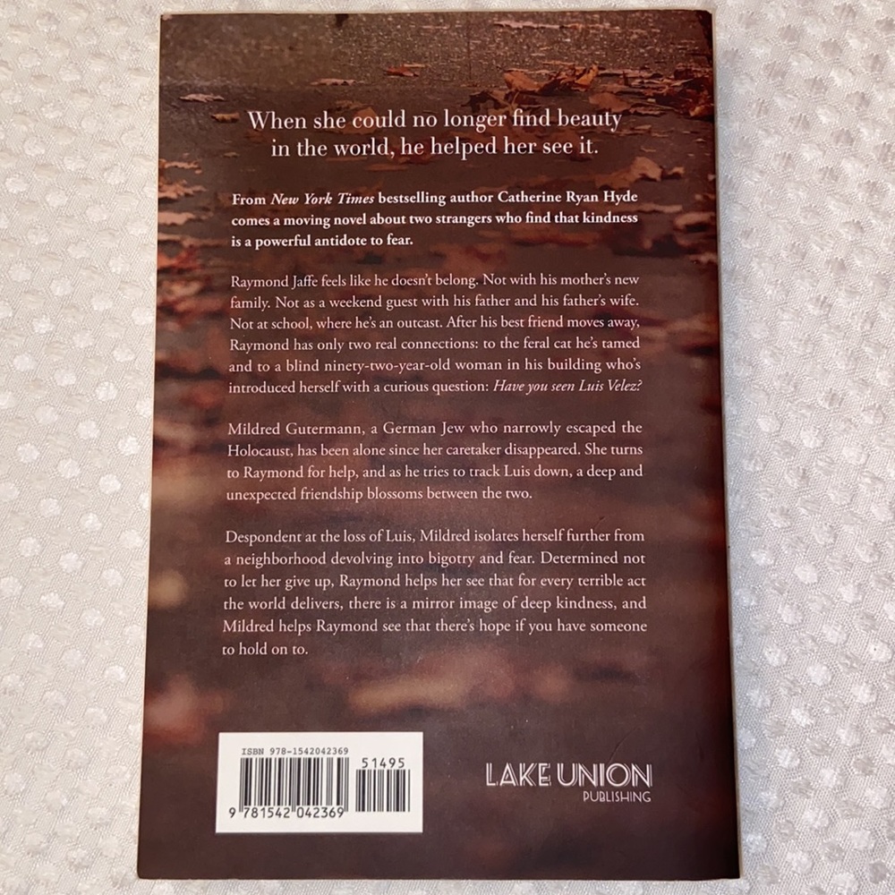 HAVE YOU SEEN LUIS VELEZ? A Novel Catherine Ryan Hyde Paperback Book - Picture 2 of 7
